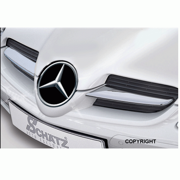 Schätz ® Chrom Frontgrill Finnen SLK R171 bis Bj. 03/2008